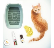 Корекція поведінки котів Корекція поведінки котів