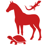 Інші тварини