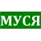  Муся
