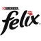 Felix