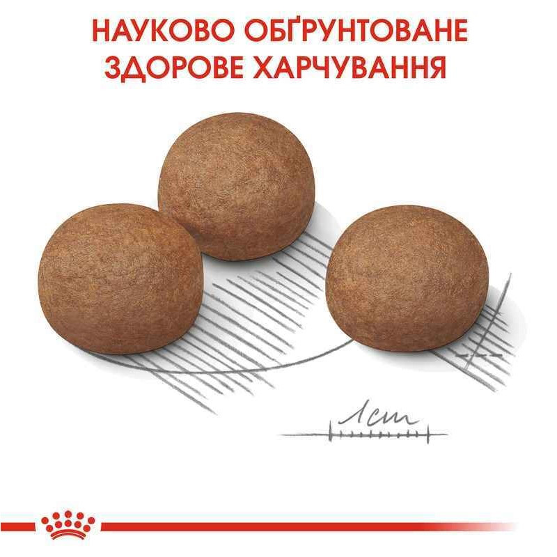 Royal Canin Maxi Digestive Care Сухой корм для собак