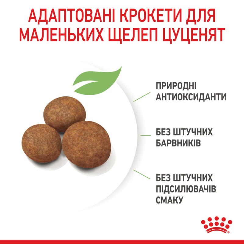 Royal Canin Maxi Puppy Сухий корм для цуценят