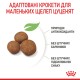 Royal Canin Maxi Puppy Сухий корм для цуценят