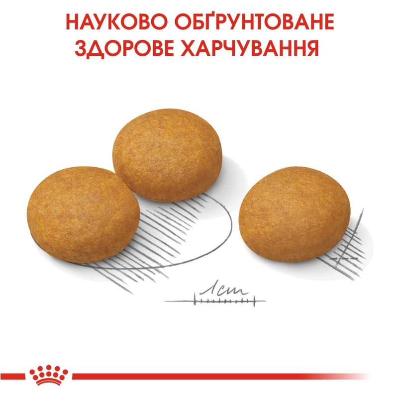 Royal Canin Medium Dermacomfort Сухой корм для собак