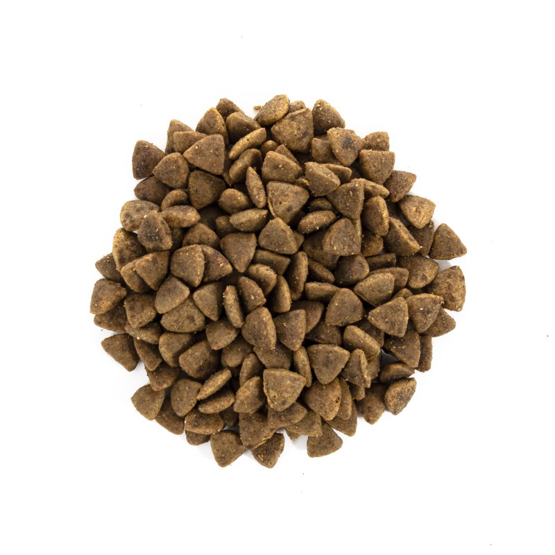 Brit Care Cat Adult Grain-Free Activity Support Беззерновий сухий корм для дорослих активних кішок