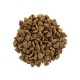 Brit Care Cat Adult Grain-Free Activity Support Беззерновий сухий корм для дорослих активних кішок