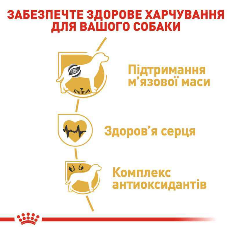 Royal Canin Boxer Adult Сухий корм для собак