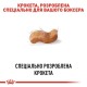 Royal Canin Boxer Adult Сухий корм для собак