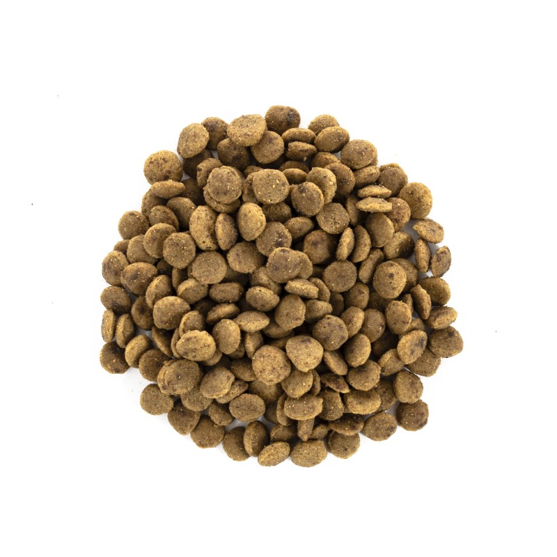 Brit Care Cat Adult Grain-Free Large Breed Power and Vitality Беззерновий сухий корм для великих кішок дорослих