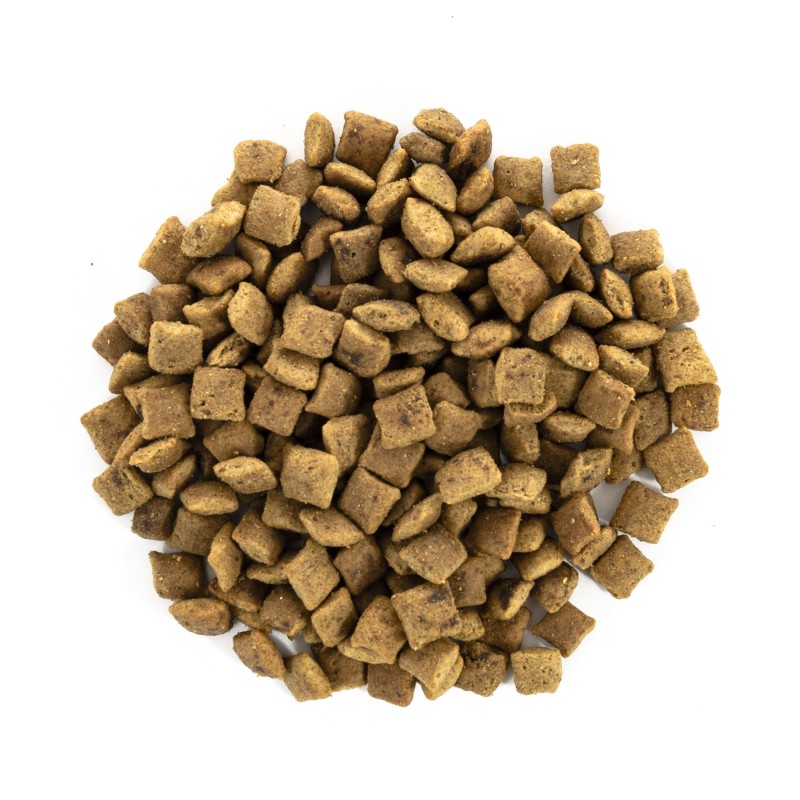 Brit Care Cat Grain-Free Senior and Weight Control Беззерновий сухий корм для кішок похилого віку