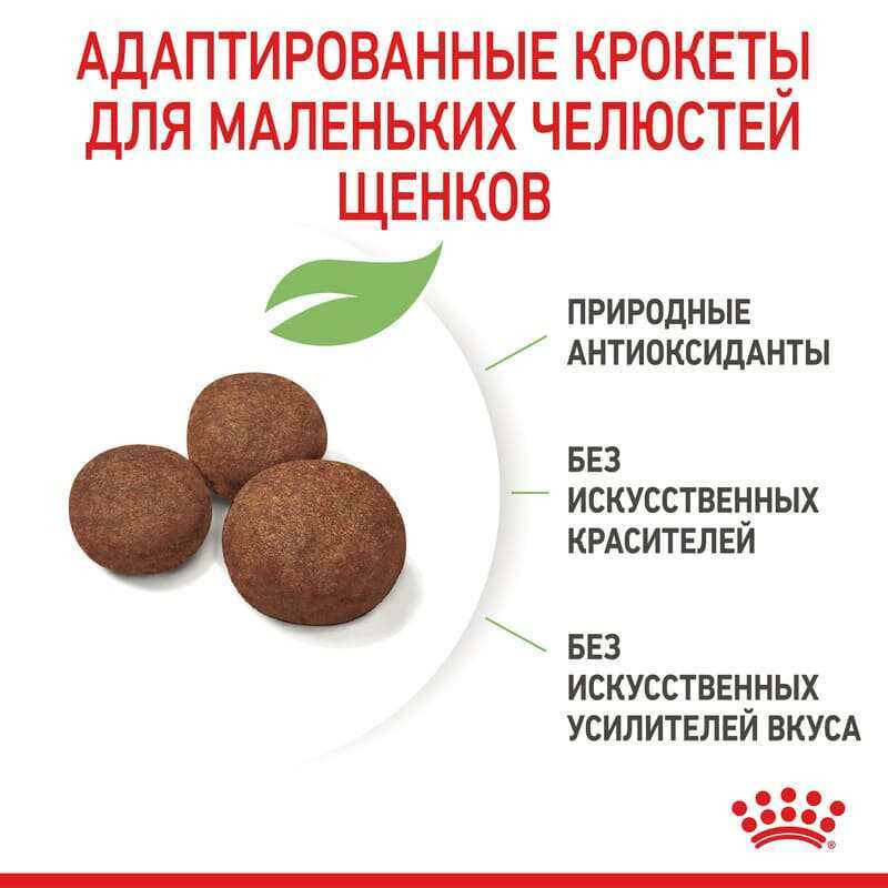 Royal Canin Medium Puppy Сухий корм для цуценят