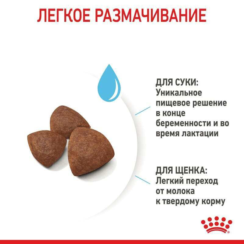 Royal Canin Medium Starter Сухий корм для цуценят