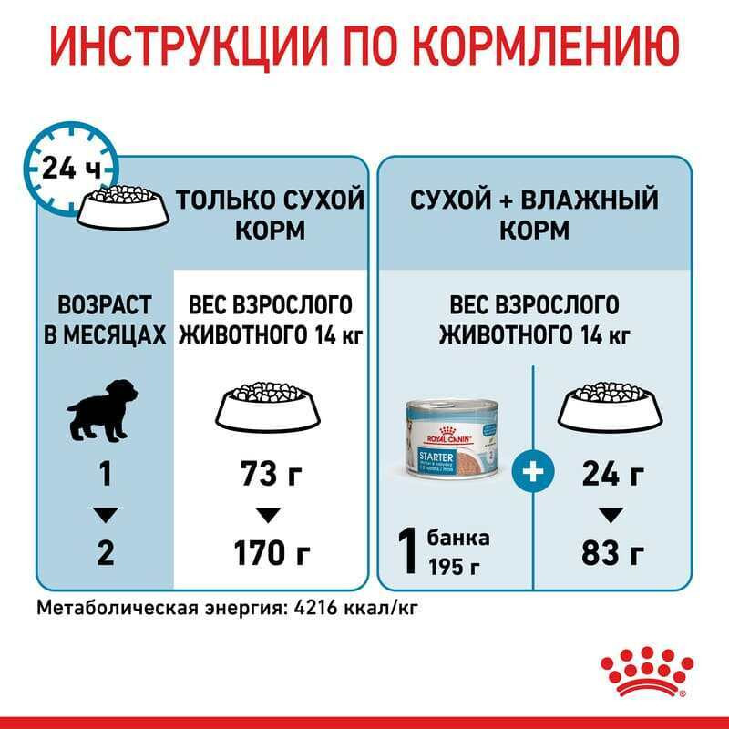 Royal Canin Medium Starter Сухий корм для цуценят