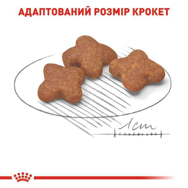 Royal Canin Mini Adult 8+ Сухий корм для собак