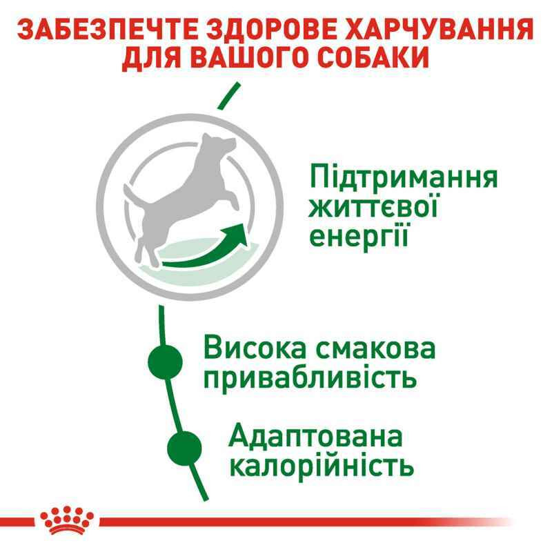 Royal Canin Mini Adult 8+ Сухий корм для собак