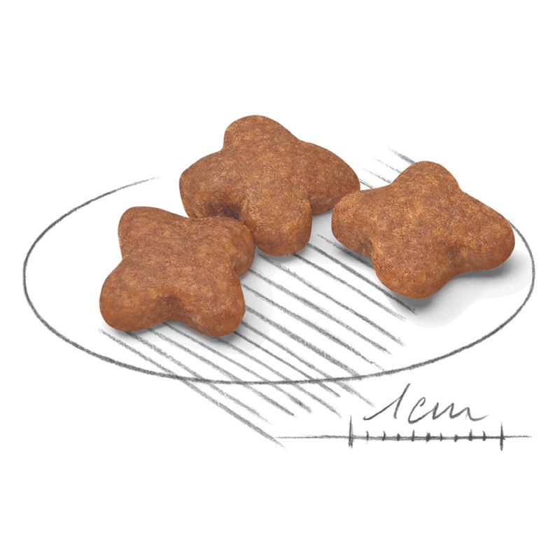 Royal Canin Mini Adult Сухий корм для собак