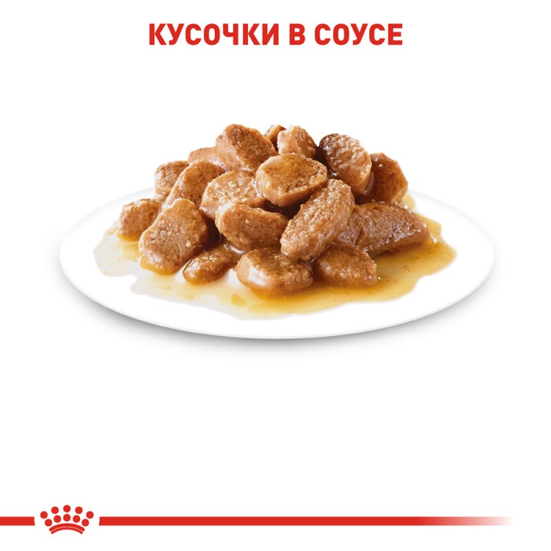 Royal Canin Mini Adult Консерви для собак