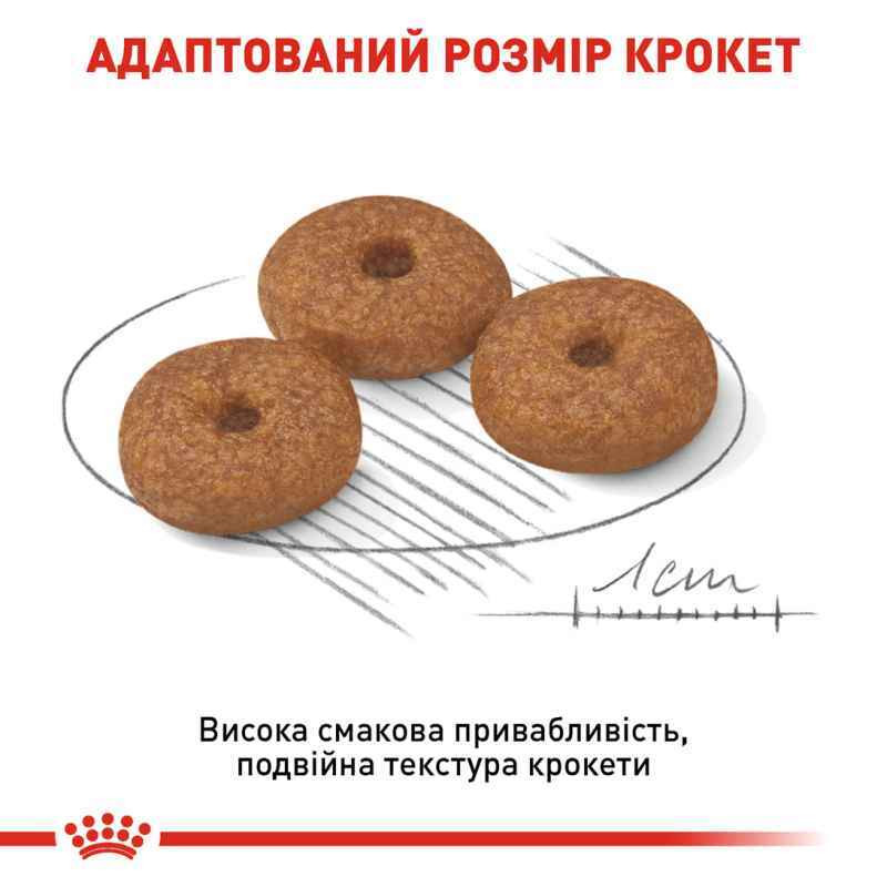 Royal Canin Mini Ageing 12+ Сухий корм для собак