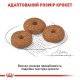 Royal Canin Mini Ageing 12+ Сухий корм для собак