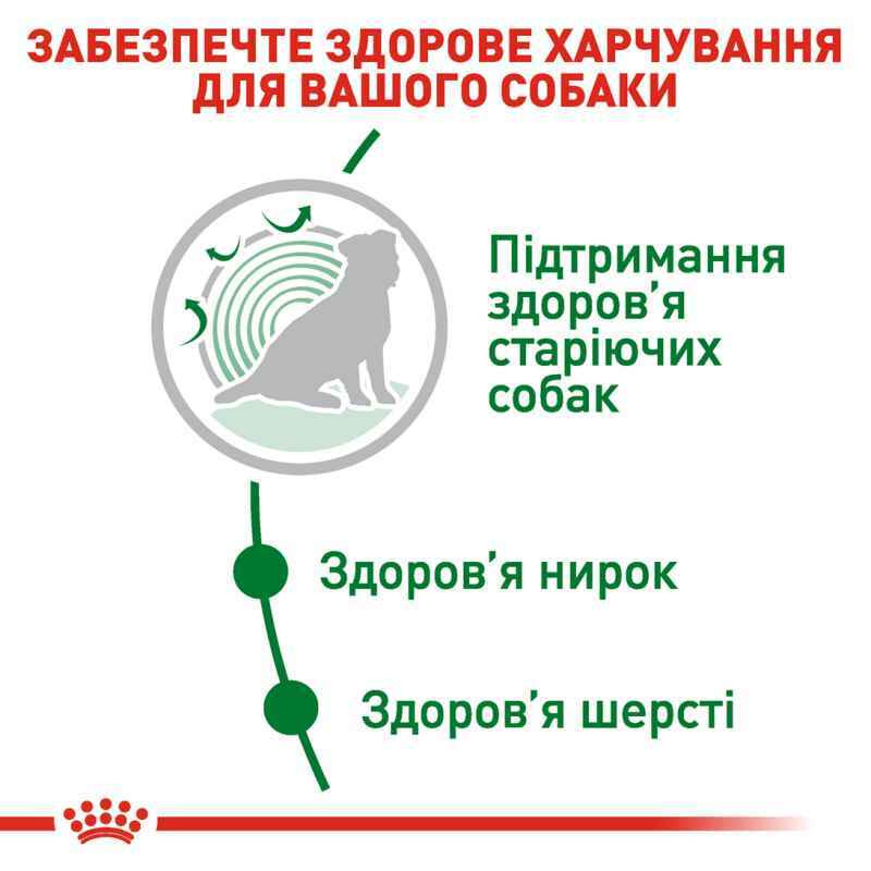 Royal Canin Mini Ageing 12+ Сухий корм для собак