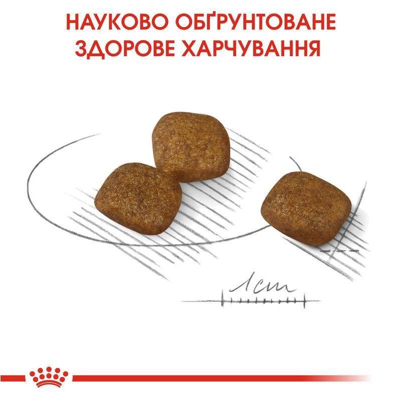 Royal Canin Mini Coat Care Сухой корм для собак
