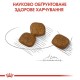 Royal Canin Mini Coat Care Сухой корм для собак