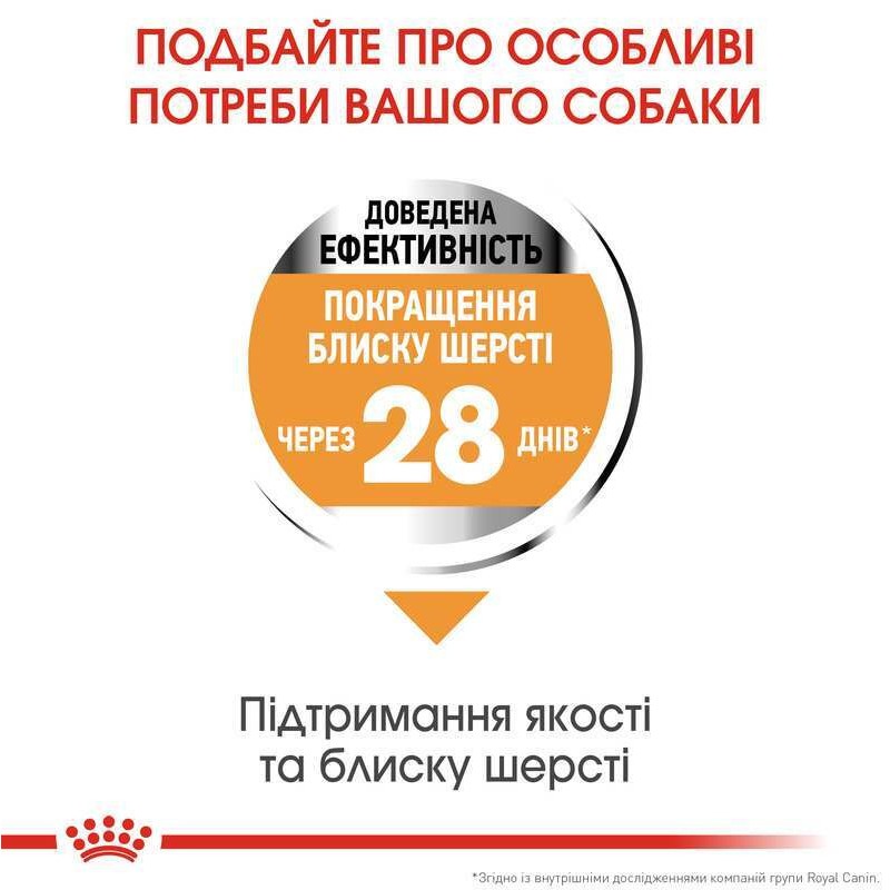 Royal Canin Mini Coat Care Сухой корм для собак