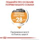 Royal Canin Mini Coat Care Сухой корм для собак