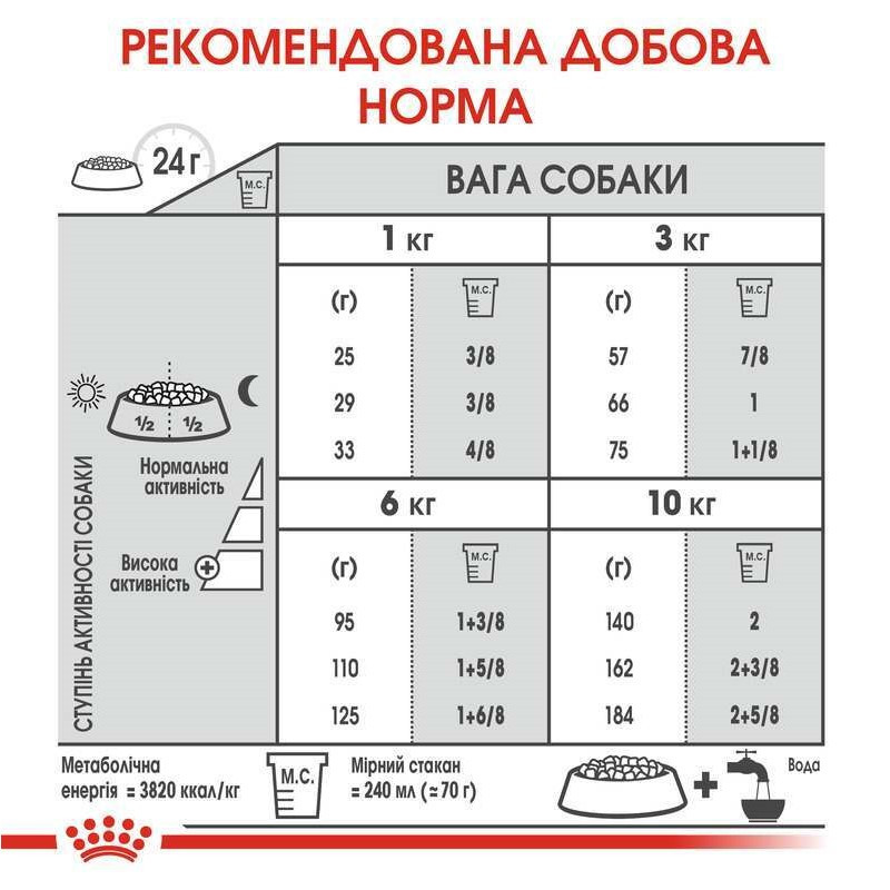 Royal Canin Mini Dental Care Сухий корм для собак