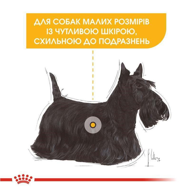 Royal Canin Mini Dermacomfort Сухой корм для собак
