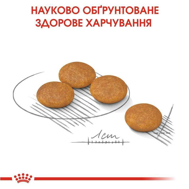 Royal Canin Mini Dermacomfort Сухой корм для собак