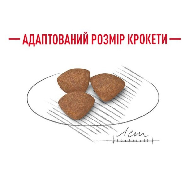 Royal Canin Mini Puppy Сухий корм для цуценят