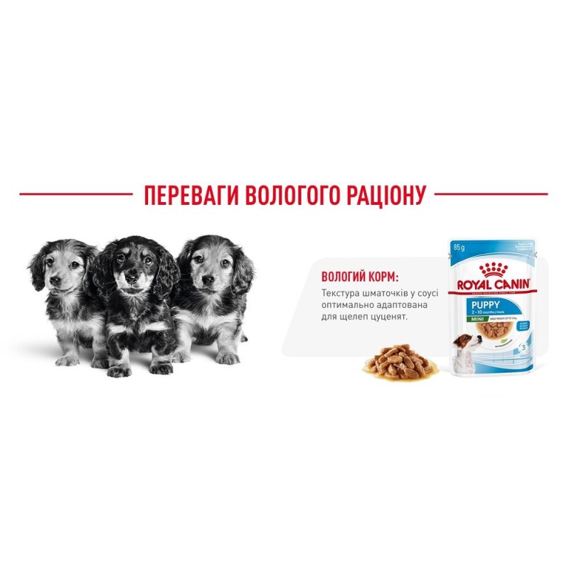 Royal Canin Mini Puppy Консерви для цуценят