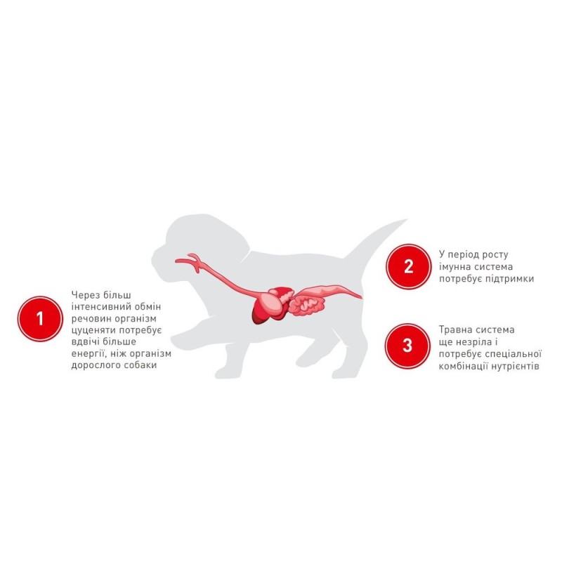 Royal Canin Mini Puppy Консерви для цуценят