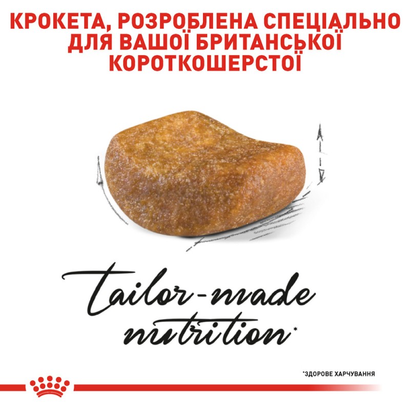 Royal Canin British Shorthair Adult Сухий корм для дорослих кішок