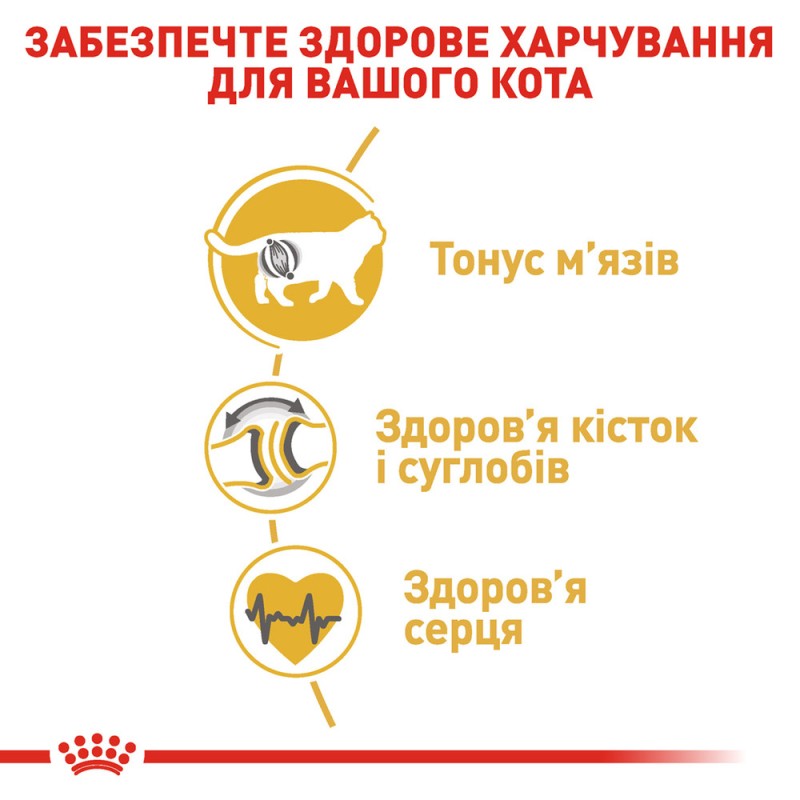Royal Canin British Shorthair Adult Сухий корм для дорослих кішок