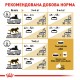 Royal Canin British Shorthair Adult Сухий корм для дорослих кішок