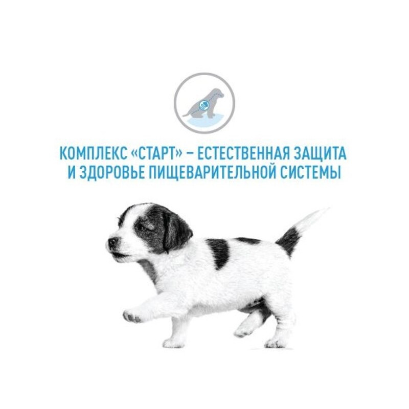 Royal Canin Starter Mousse Консерви для цуценят
