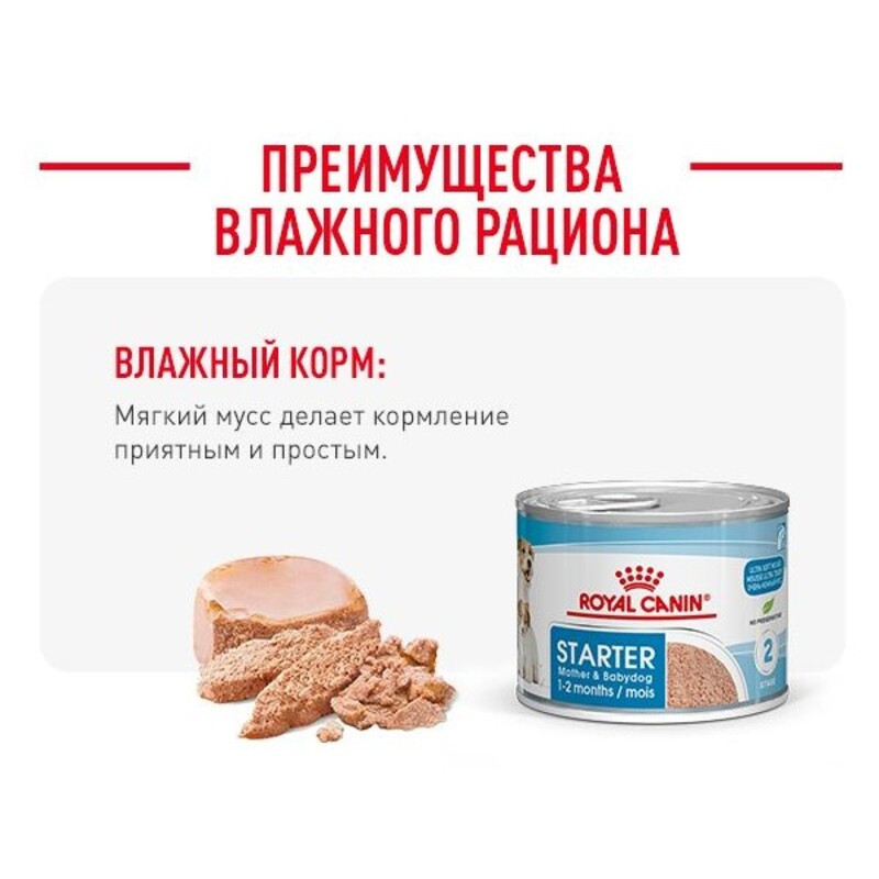 Royal Canin Starter Mousse Консерви для цуценят