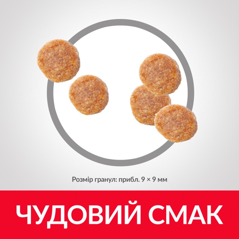 Hills Science Plan Feline Adult Lamb Сухий корм для дорослих кішок з ягнятком