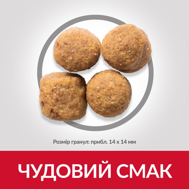 Hills Science Plan Canine Adult Large Breed Chicken Сухий корм для дорослих собак великих порід із куркою