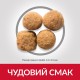 Hills Science Plan Canine Adult Large Breed Chicken Сухий корм для дорослих собак великих порід із куркою