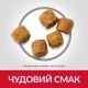 Hills Science Plan Canine Adult Medium Breed Lamb and Rice Сухий корм для дорослих собак середніх порід з ягнятком та рисом
