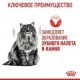 Royal Canin Oral Care Сухий корм для дорослих кішок