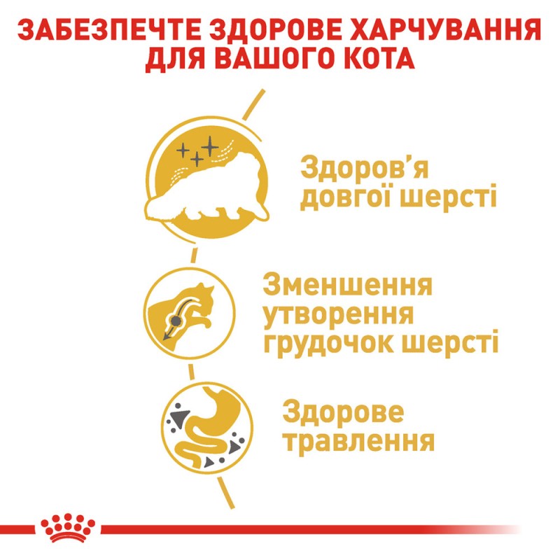 Royal Canin Persian Adult Сухий корм для дорослих кішок