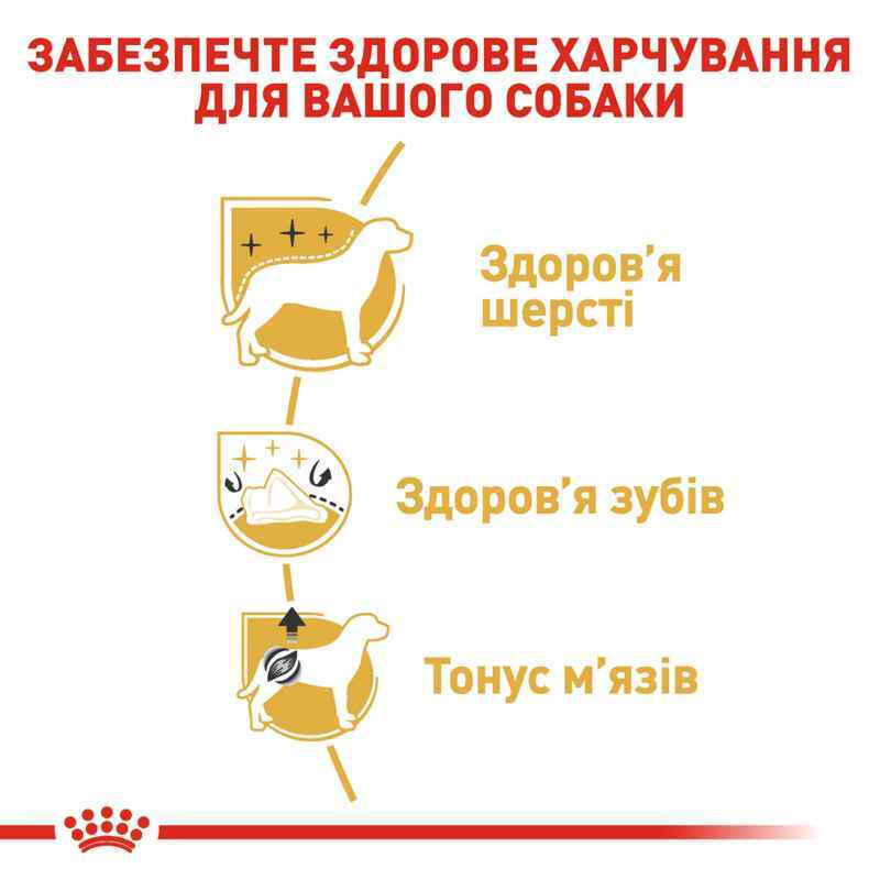 Royal Canin Poodle Adult Сухий корм для собак