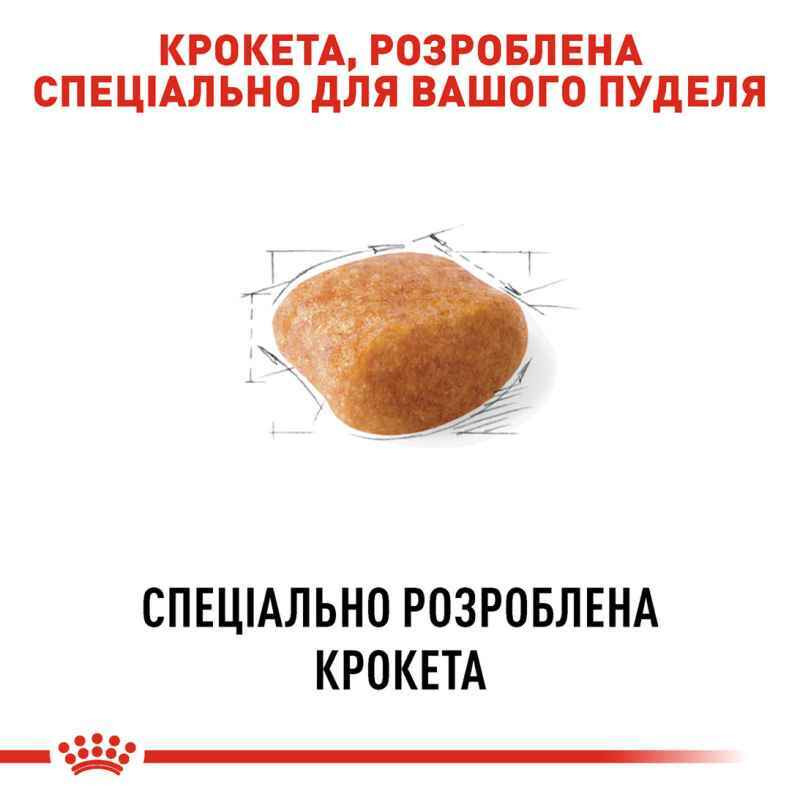 Royal Canin Poodle Adult Сухий корм для собак
