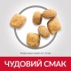 Hills Science Plan Feline Adult Oral Care Chicken Сухий корм для дорослих кішок догляд за ротовою порожниною з куркою