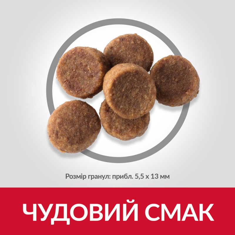 Hills Science Plan Canine Puppy Large Breed Chicken Сухий корм для цуценят великих порід з куркою