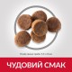 Hills Science Plan Canine Puppy Large Breed Chicken Сухий корм для цуценят великих порід з куркою